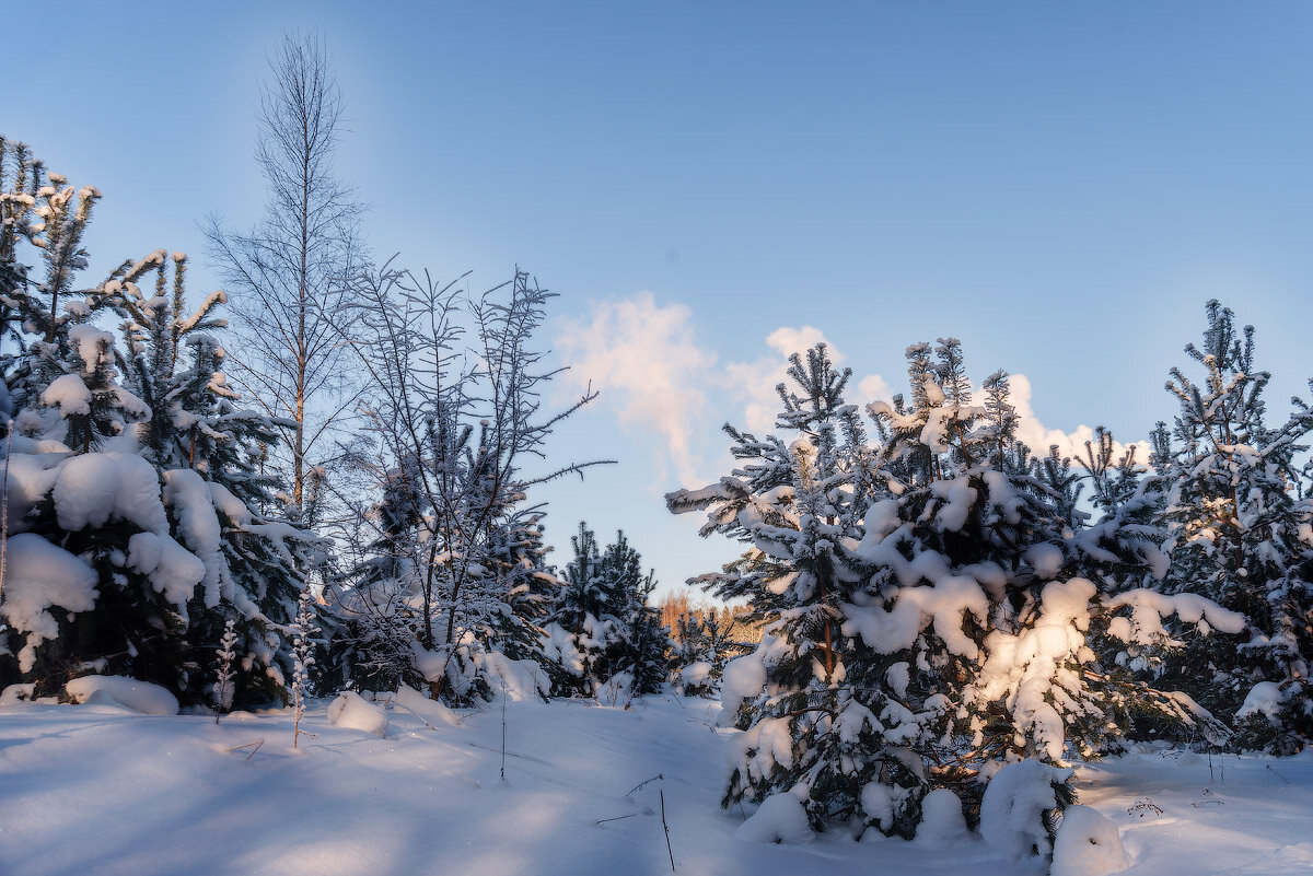 *** - Aliaksandr Panchanka