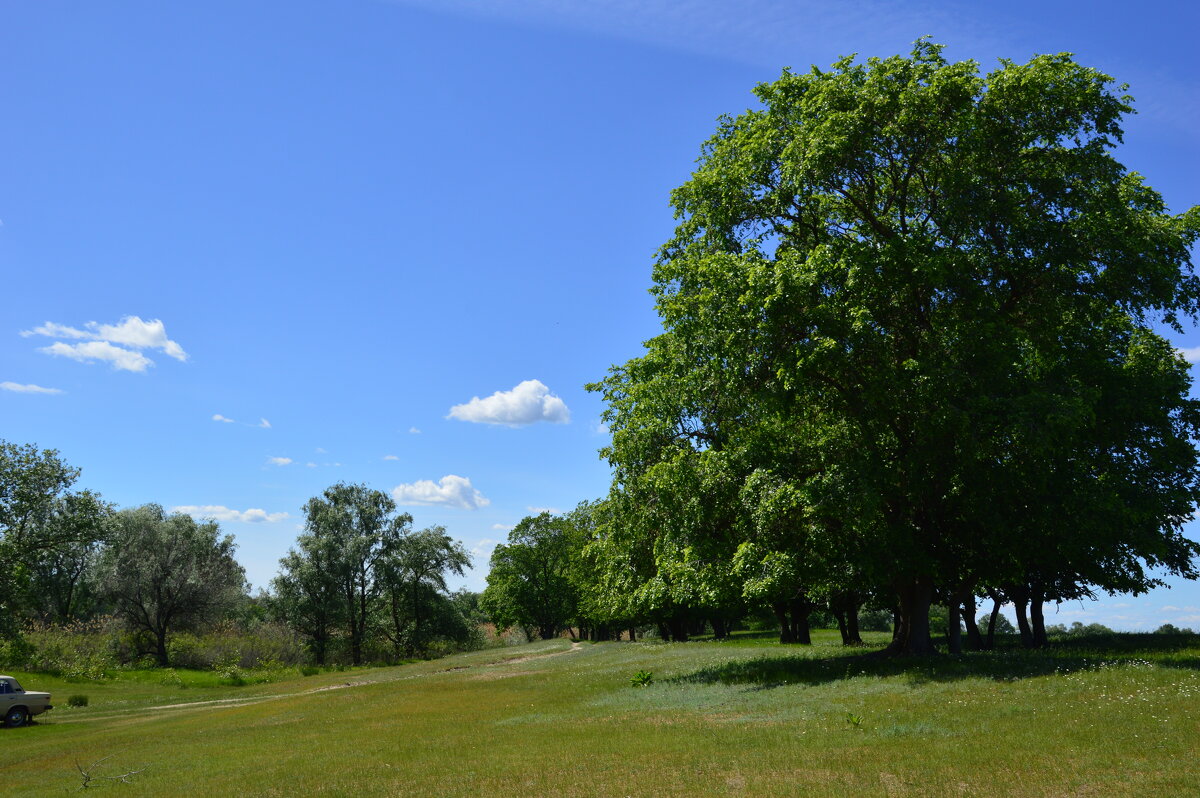 :::*** - Виктор 