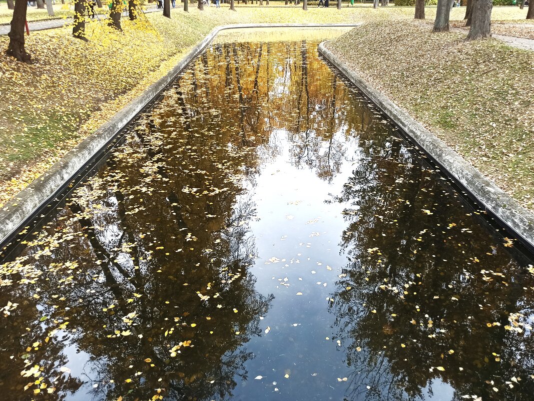 Из отражённого - svk *