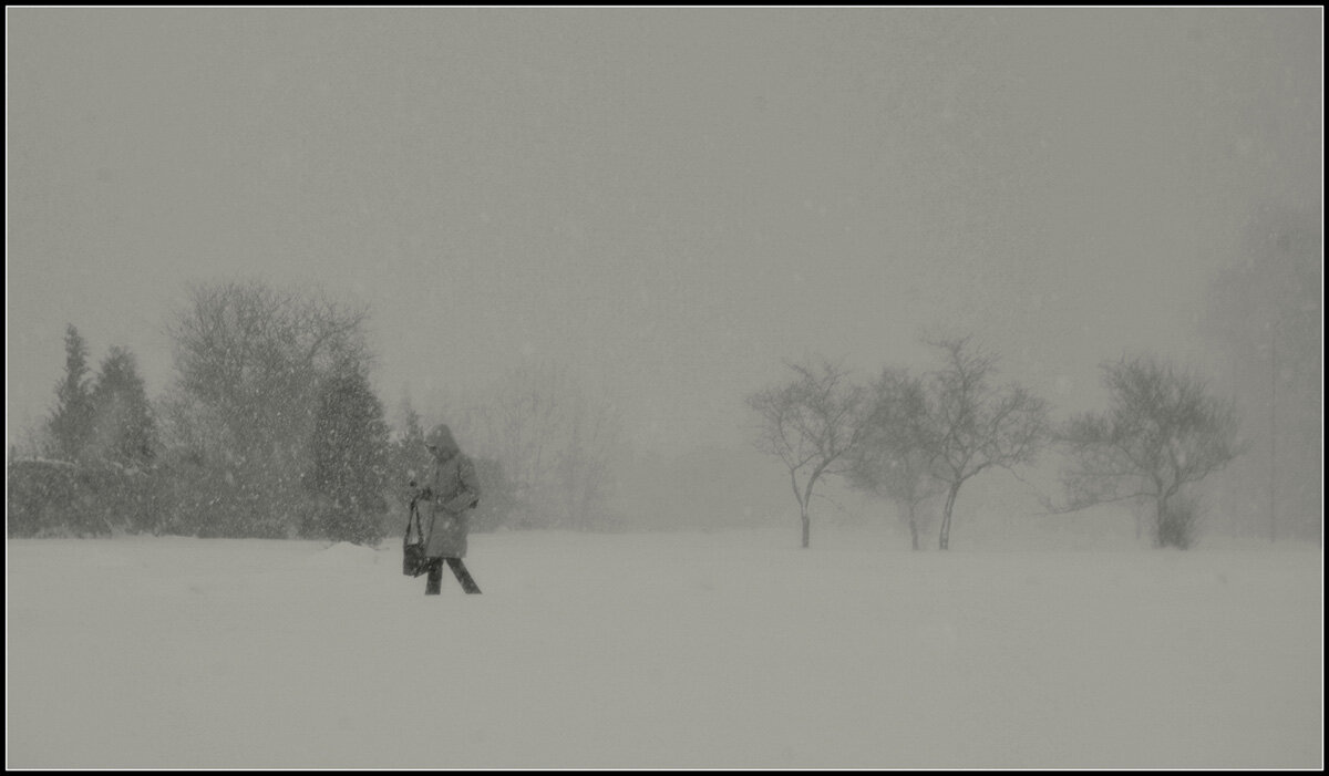 *** - Aleksandr Gal *** - Aleksandr Gal