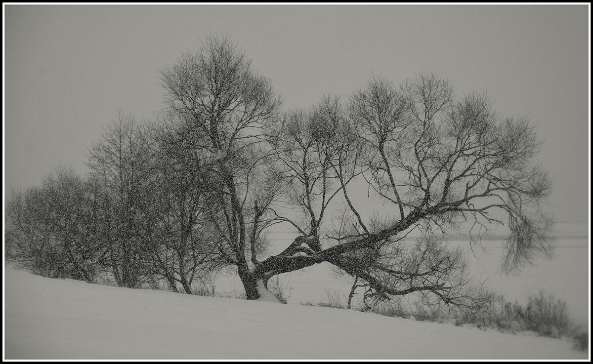 Метель - Aleksandr Gal