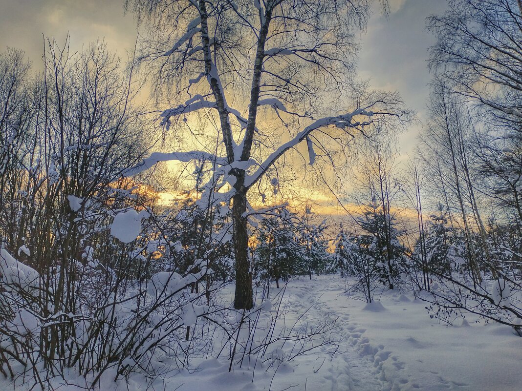 зимняя прогулка - Валентина. .