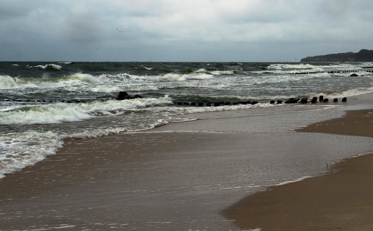 Балтика поздней осенью - В.И 