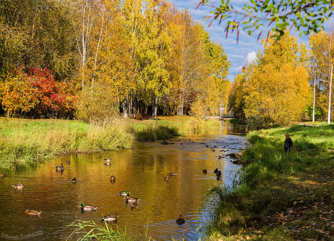 Ухта. Перекат реки Чибъю (коми чибӧ - жеребенок, ю - река) в осеннем парке. - Николай Зиновьев