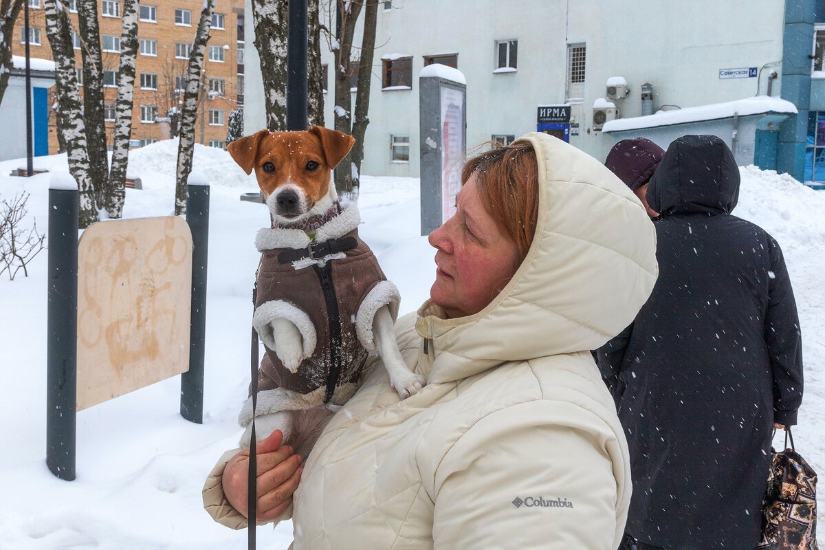 Защитник. - Анатолий. Chesnavik.