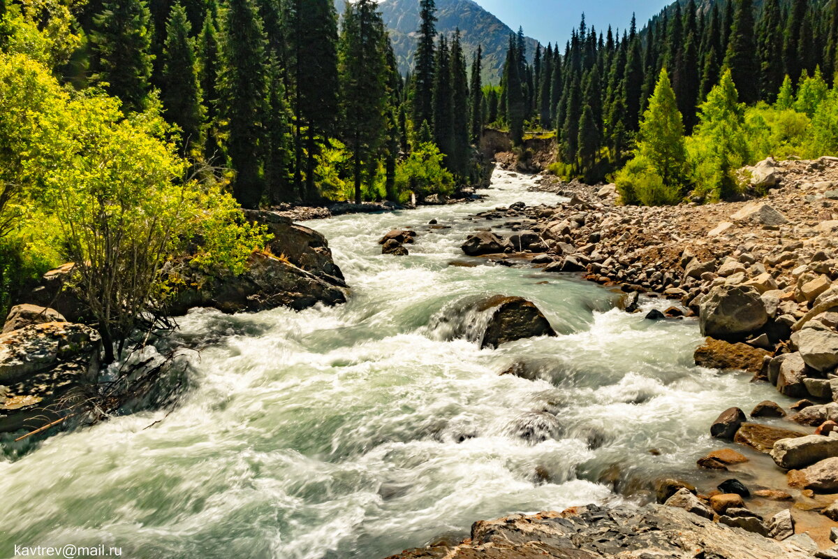 ТАЛГАР - HART BAD