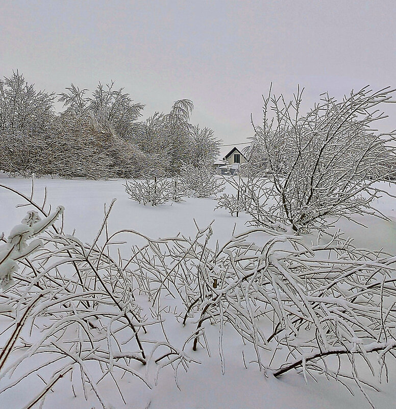 Морозное утро в деревне - Игорь Сычёв