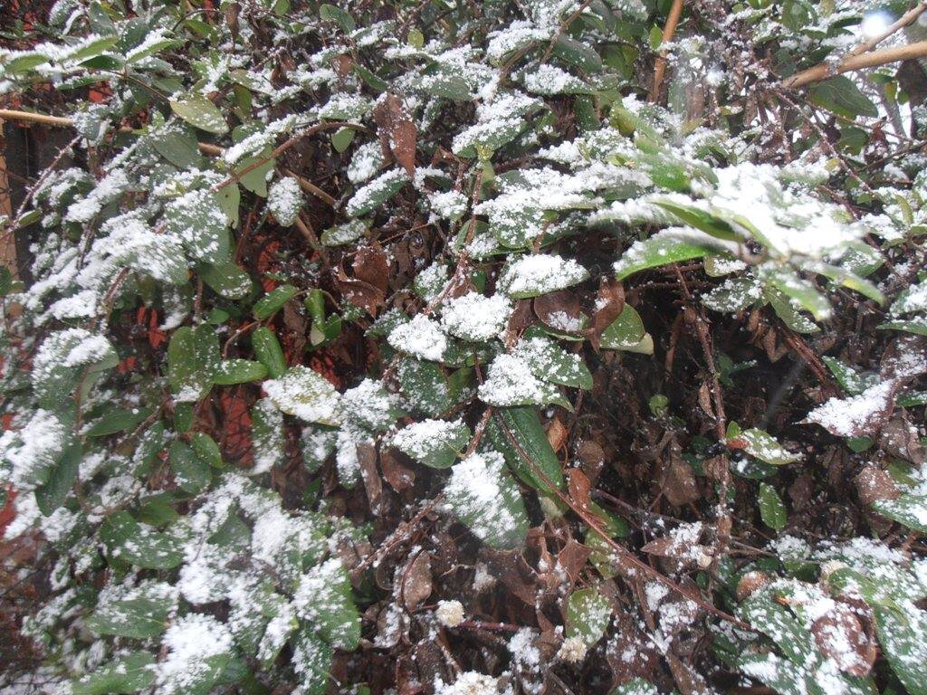 Был снег... - Наталья Был снег... - Наталья