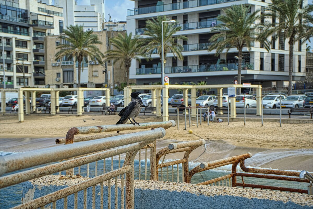 Я   Орёл - ujgcvbif 