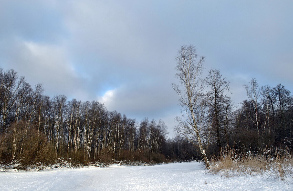 На реке - AleksSPb Лесниченко