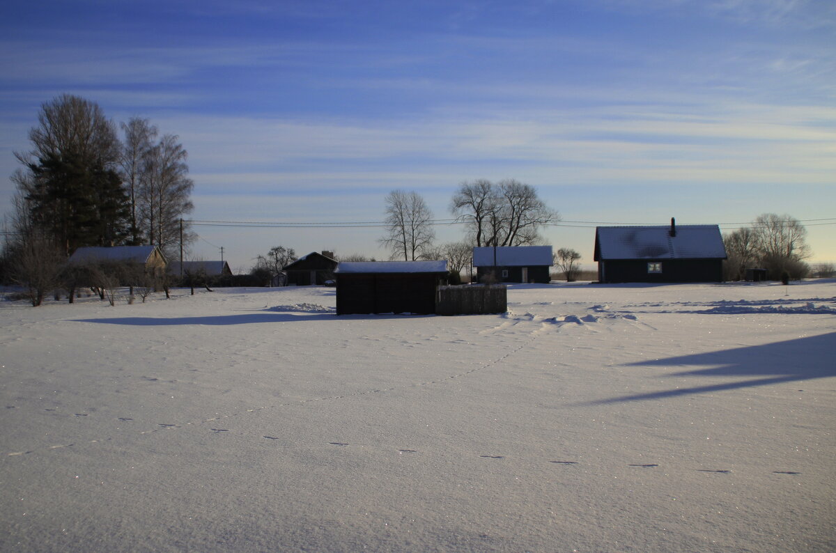 Январьские фотозарисовки .. - Татьян@ Ивановна Январьские фотозарисовки .. - Татьян@ Ивановна