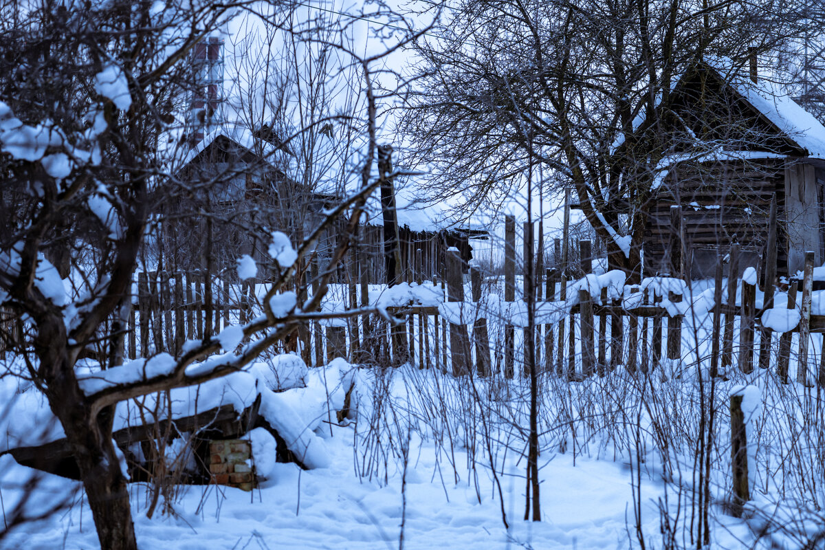 Домики - Илья Шенгелия