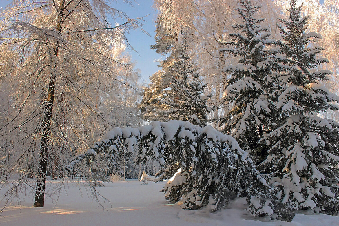 Наклонилась - елена беликова Наклонилась - елена беликова
