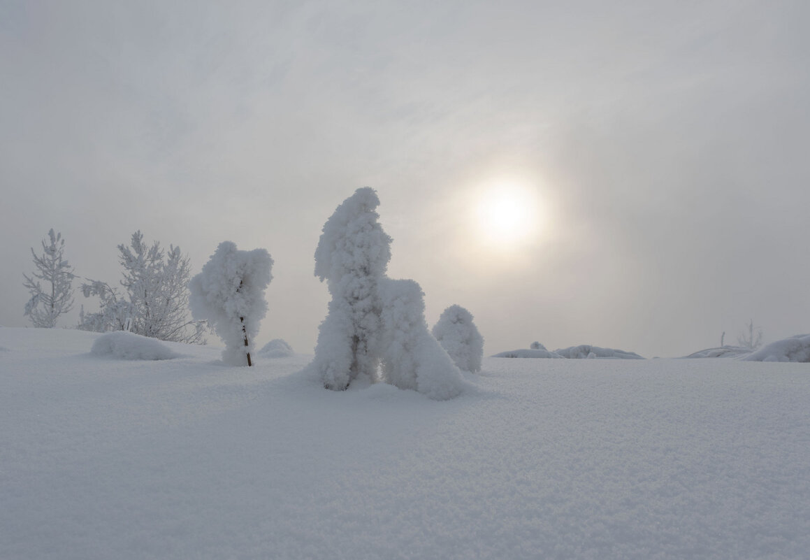 Туманный полдень - Сергей Герасимов