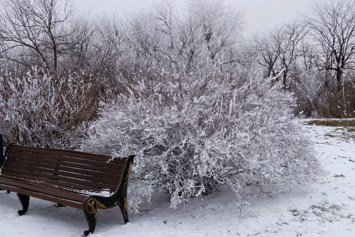 *** - Игорь Kуленко