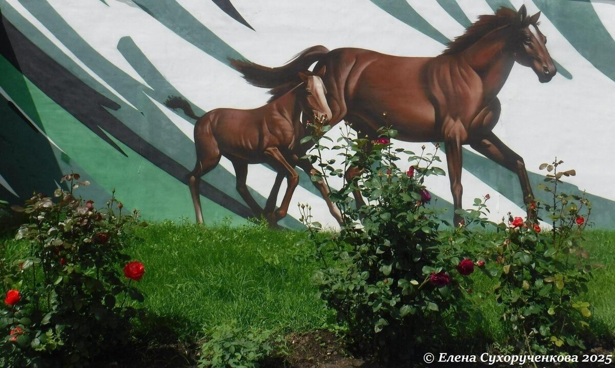 Конный завод - Елена Сухорученкова