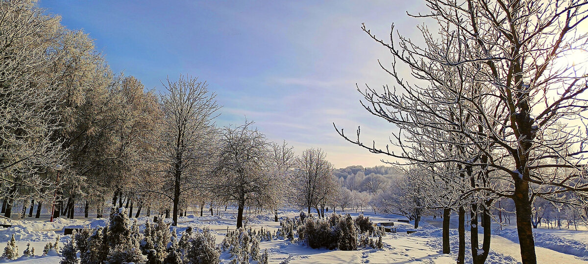 Солнечный день в парке - Игорь Сычёв