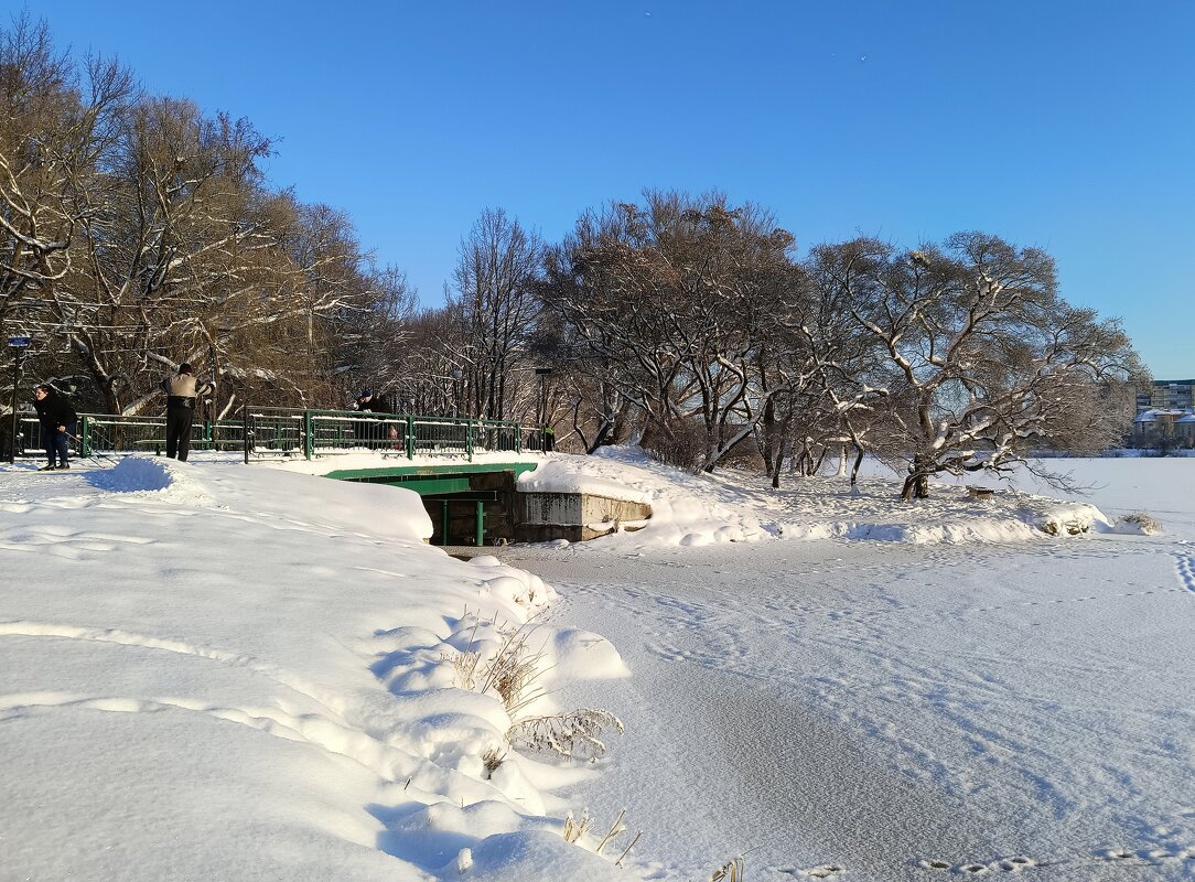 Прогулка по январю - Мария Васильева Прогулка по январю - Мария Васильева