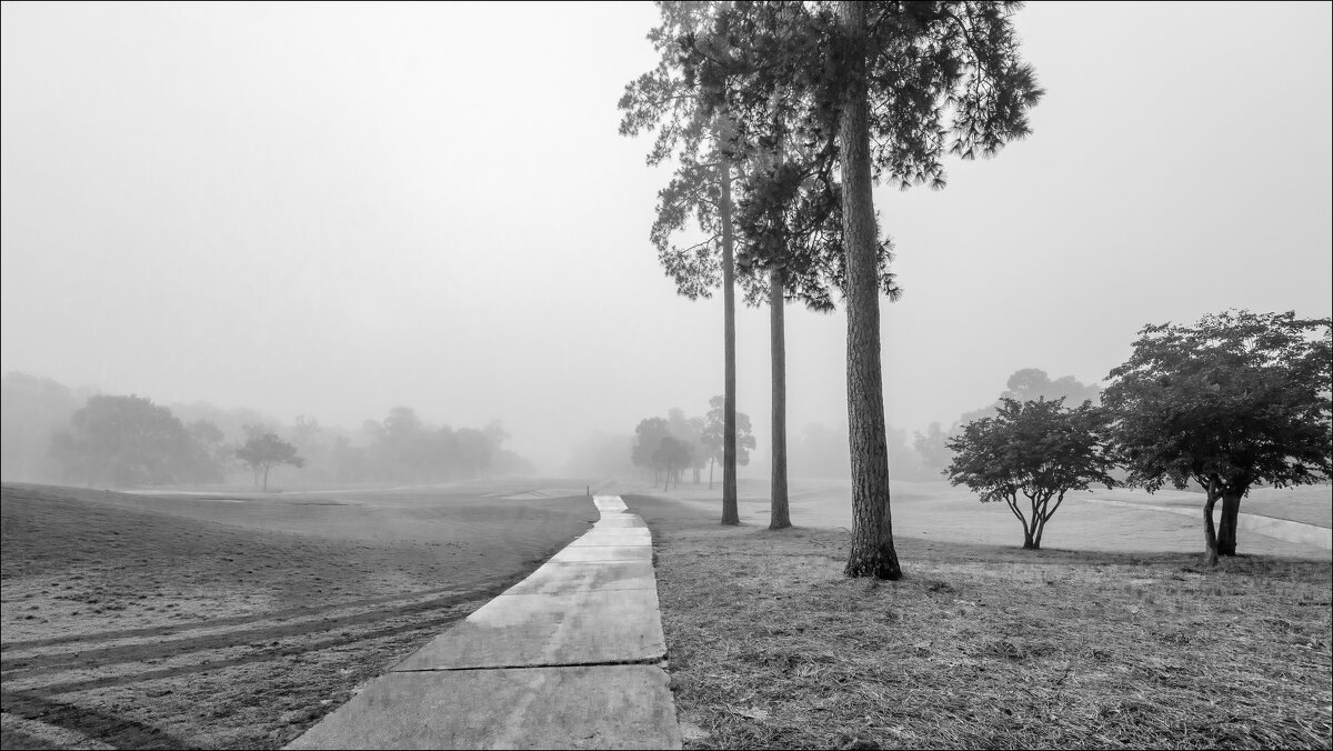 Три сосны - **** vedin