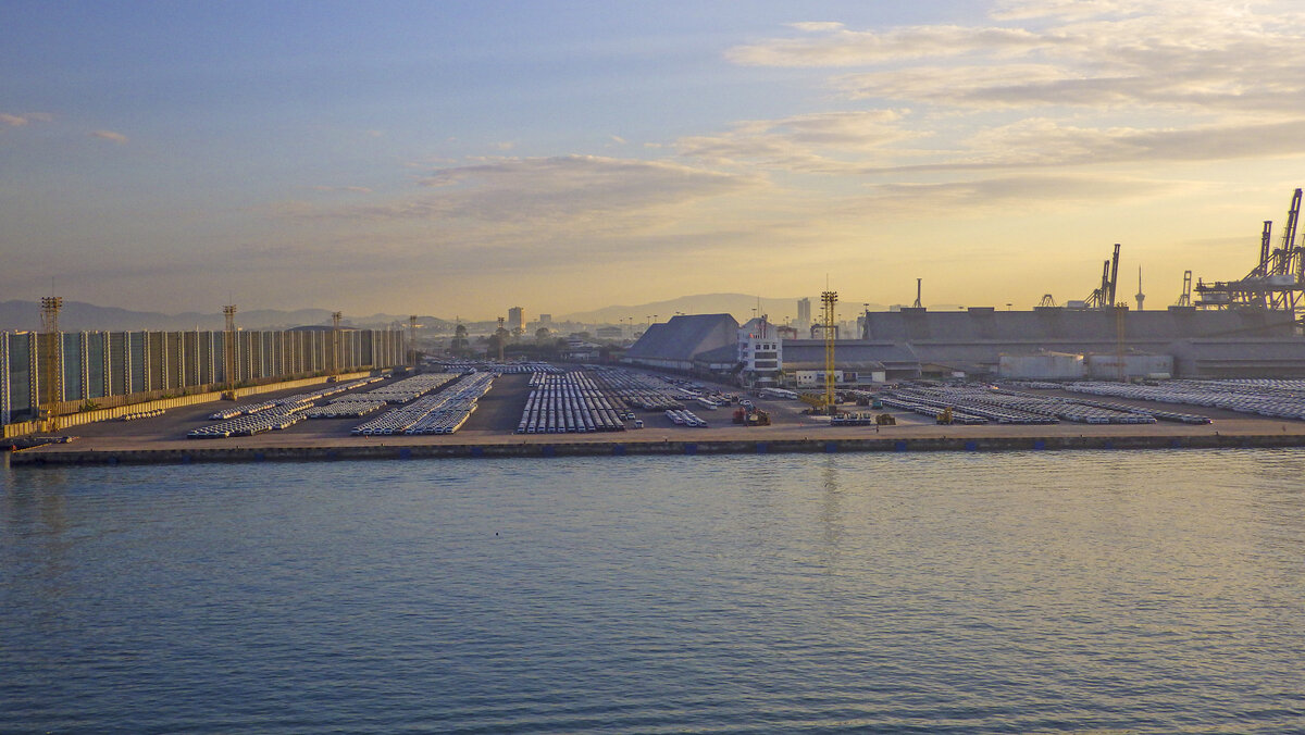 На экспорт. - Сергей Фомичев