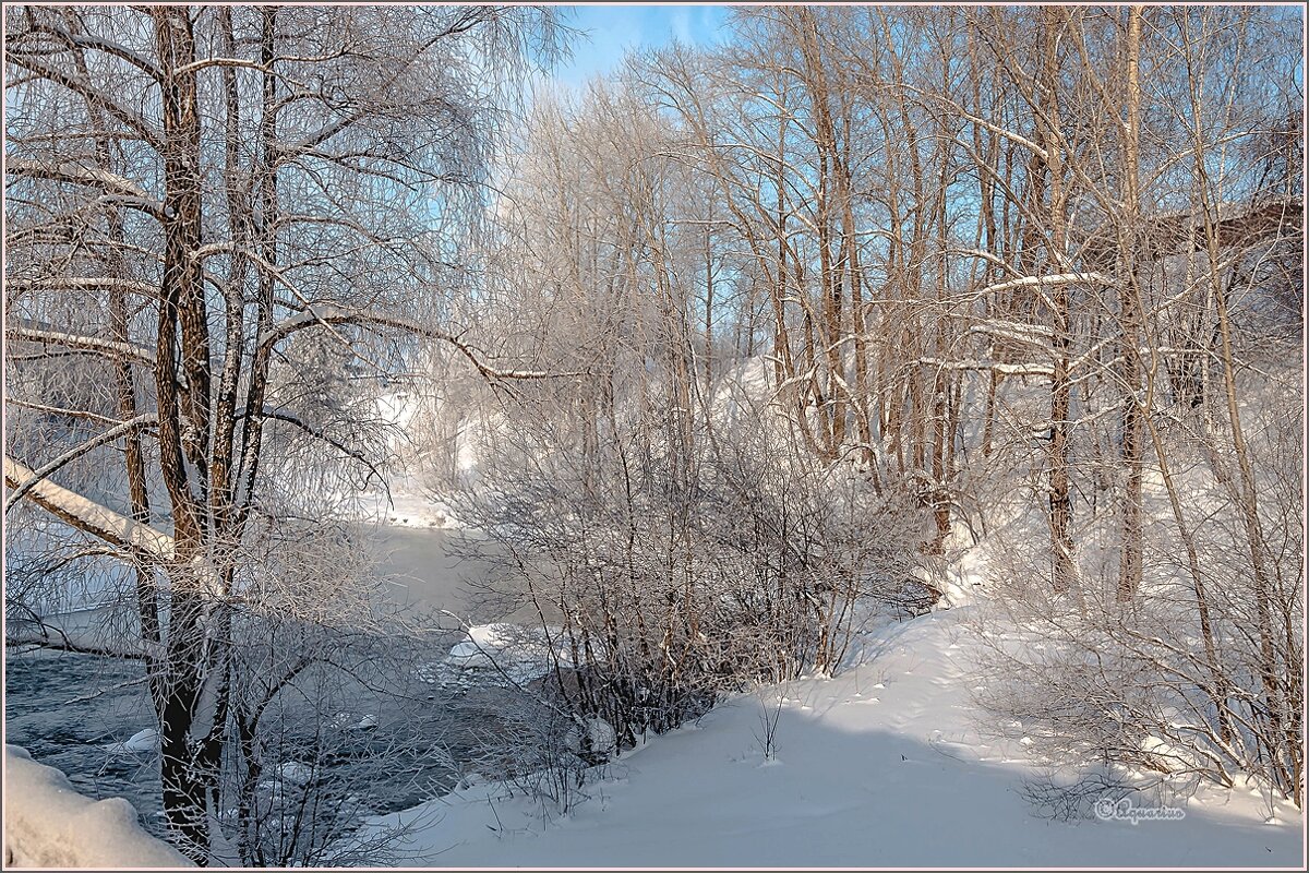 Январские зарисовки... - Aquarius - Сергей Январские зарисовки... - Aquarius - Сергей