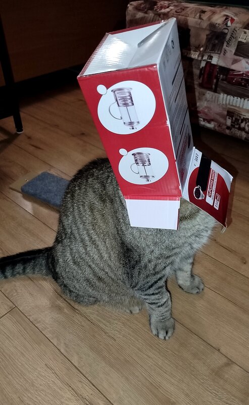 Я модный! - светлана льдокова