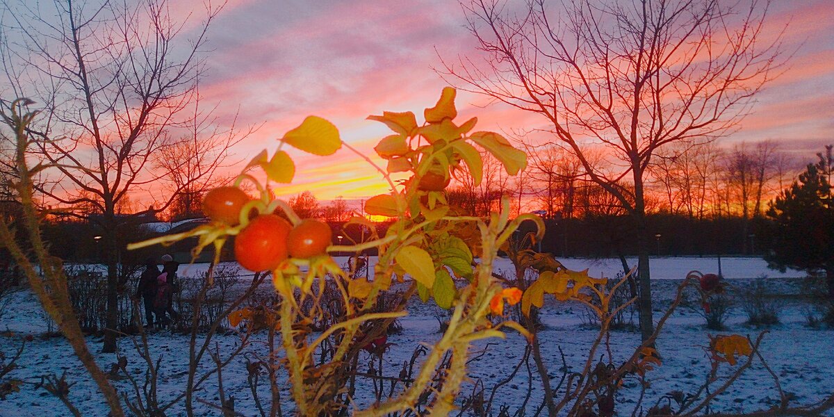 На закате - Сергей Кочнев