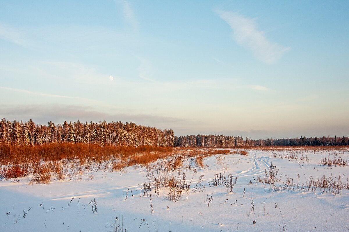 Январский пейзаж - Валерий Иванович Январский пейзаж - Валерий Иванович