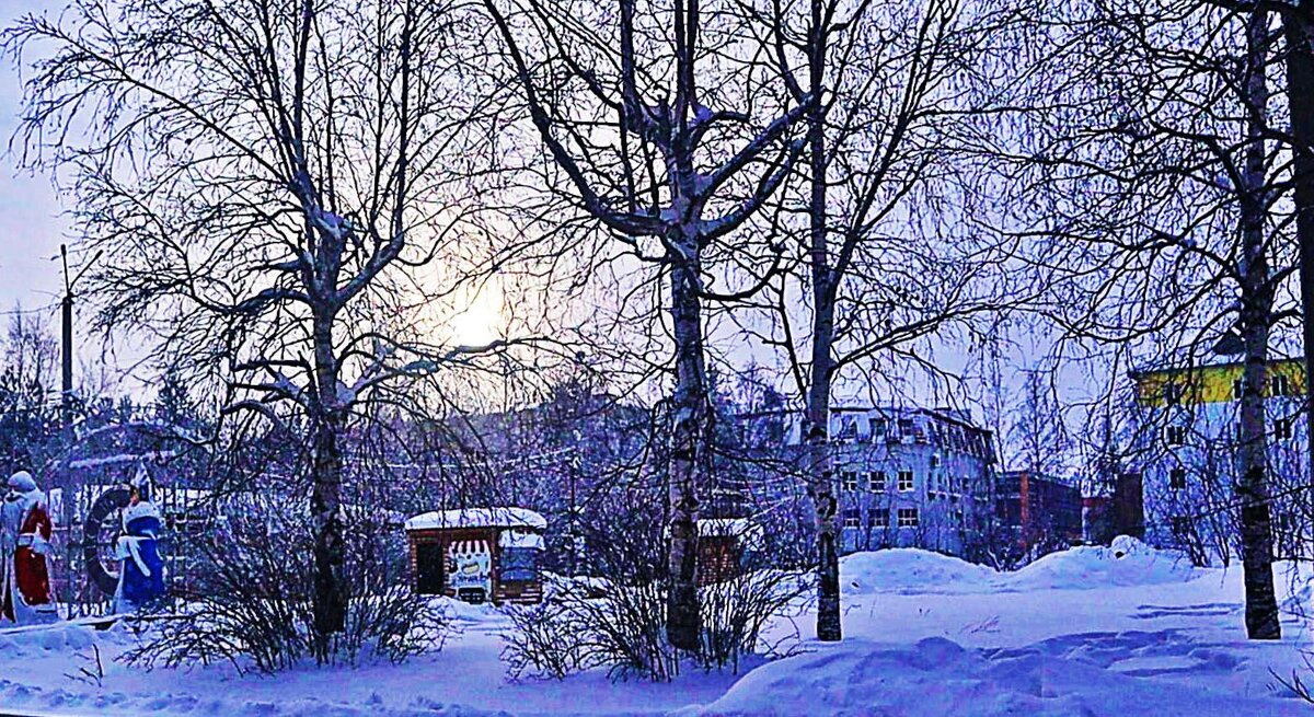 Январь...Полдень в сквере Победы! - Владимир 