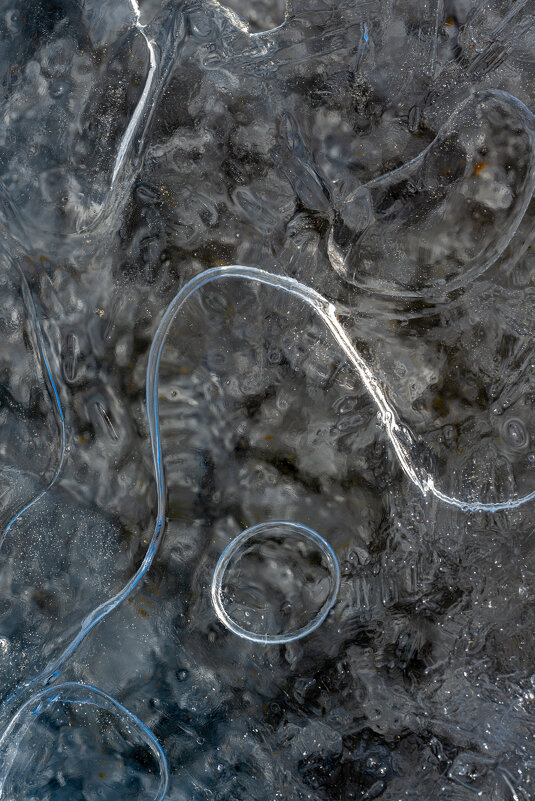 Рисунки льда - Referee (Дмитрий)