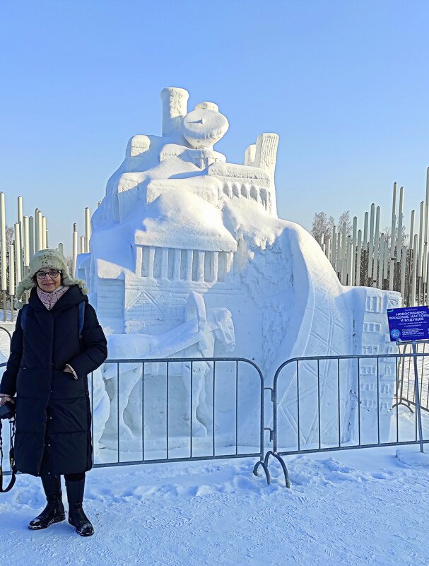 Новосибирск . Прошлое , настоящее и будущее - Татьяна Лютаева