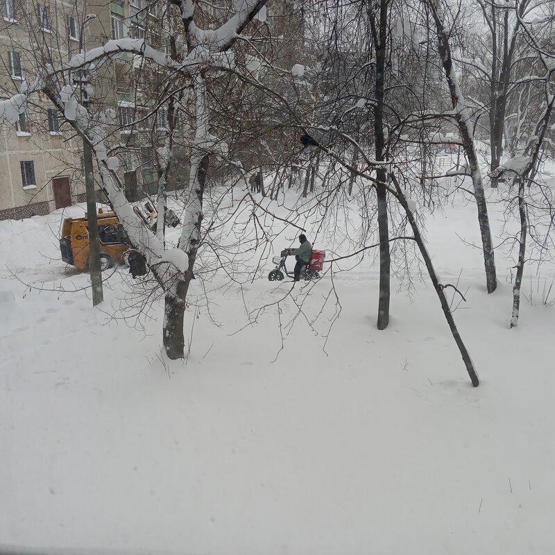 В конце января - Елена Семигина