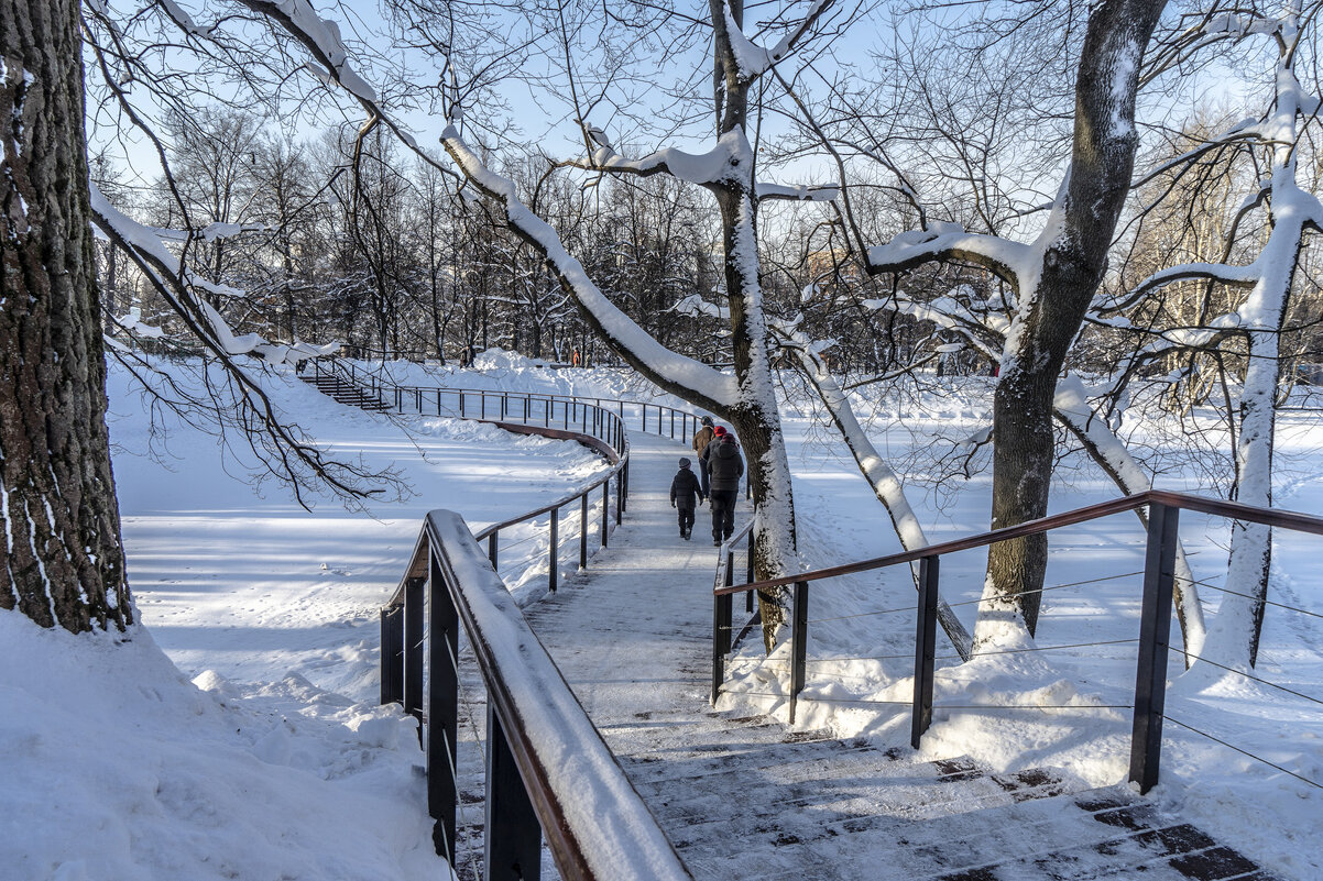 В  Воронцовском парке - Владимир Езеров 