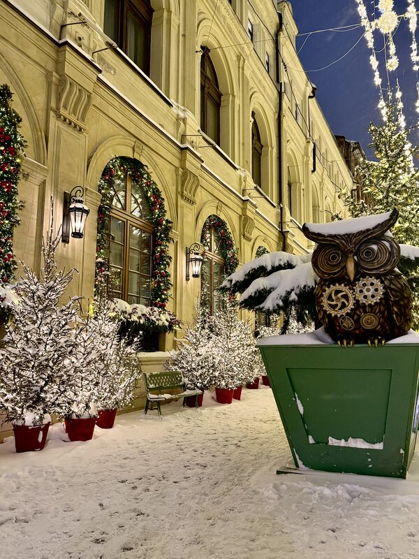 Зимняя сказка 2026 - Iren Brilliance