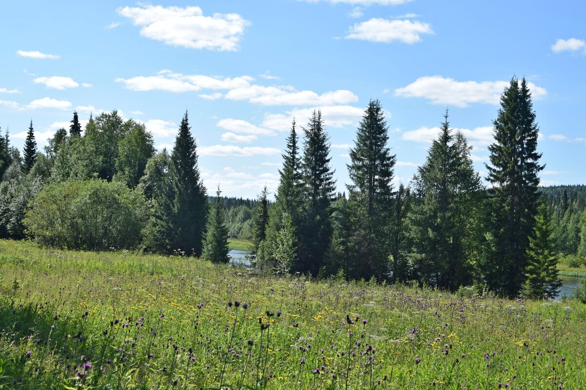 Поляна у стоянки. - ВикТор Быстров