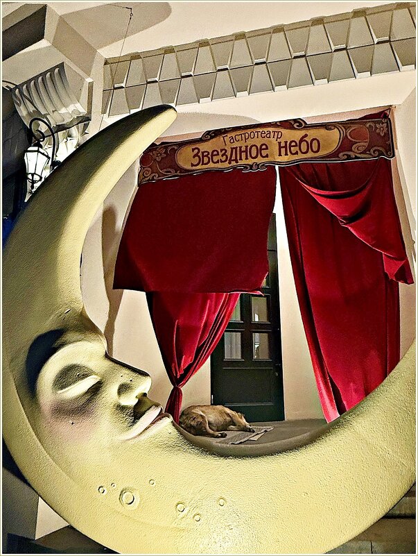 Приютили собачку. - Валерия Комова