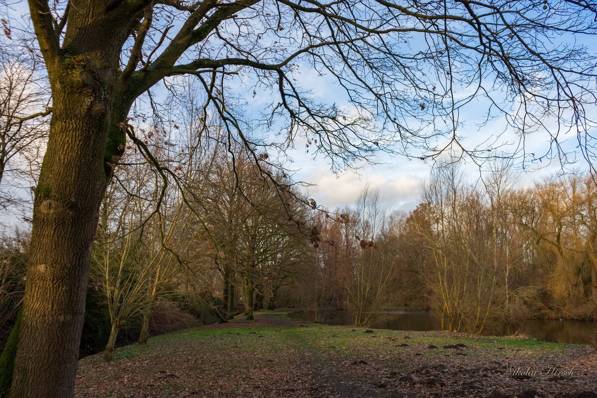 Там, где пруды... - Николай Гирш
