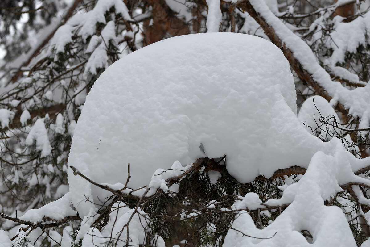 Снежная шапка - Александр Синдерёв