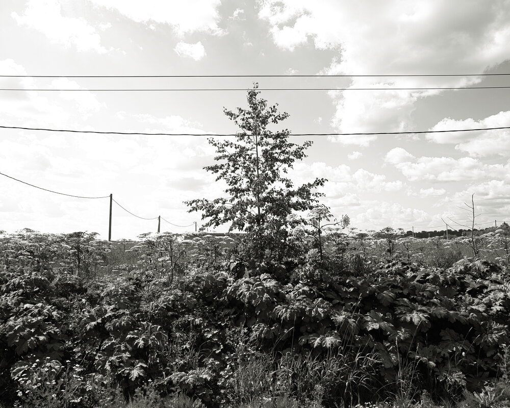 фотография - Денис Безногов