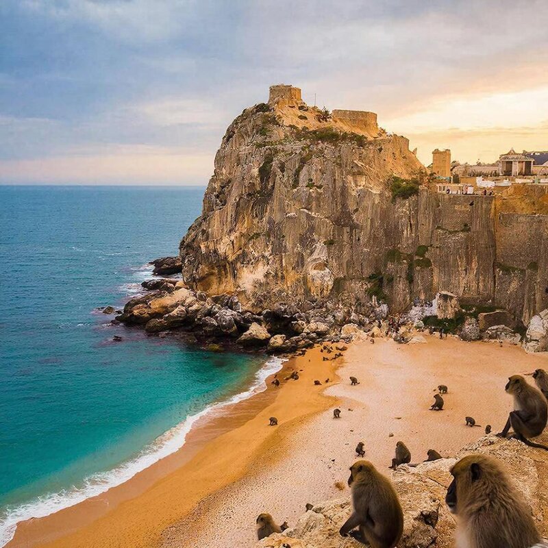 ВЗГЛЯД НА МОРЕ - СЕРГЕЙ ФИЛОЧКИН