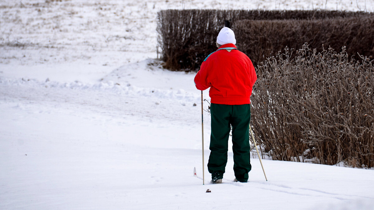 Лыжи ничто не заменит! - Alexandеr P