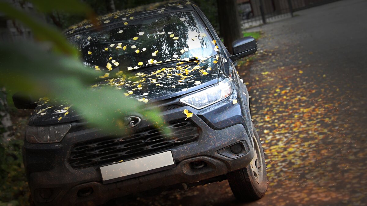 "Прикосновение осени" - Макс Орлов