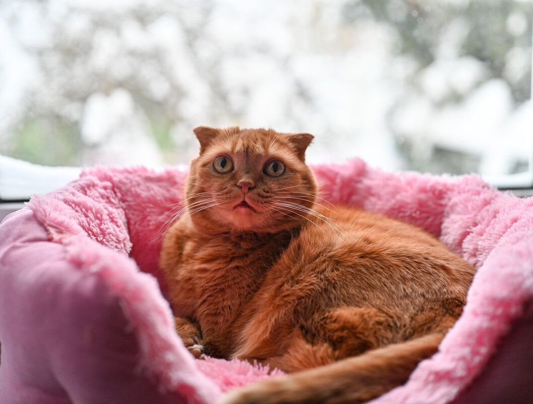 Чита - Вадим 