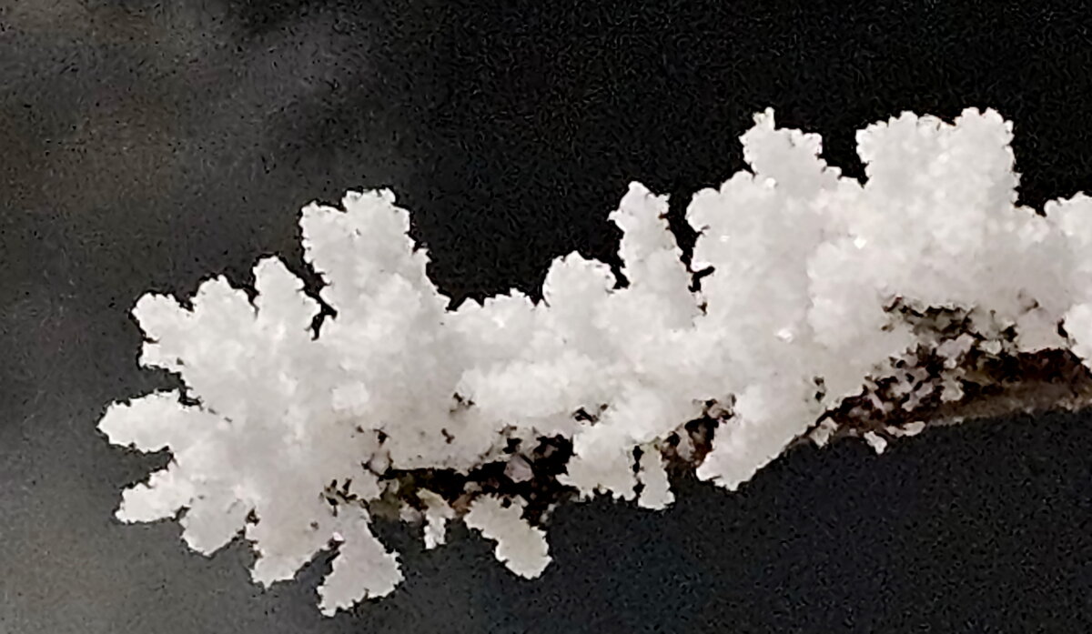 Мороз и иней - Михаил Свиденцов