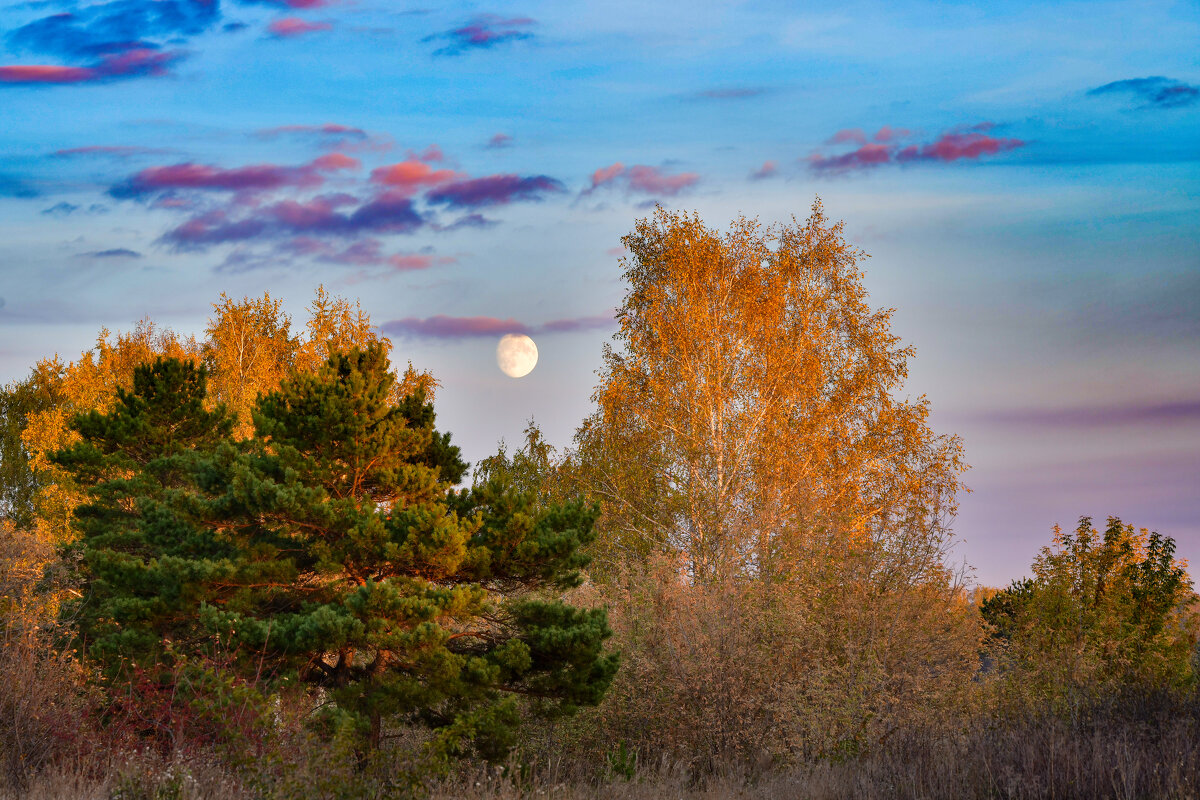 Тёплый вечер на закате - Георгий 