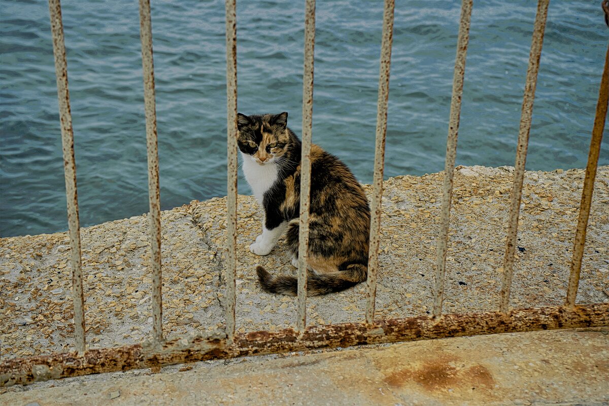 Хайфа. Пляж Бат Галим *Израиль  ,2026Г - ujgcvbif 