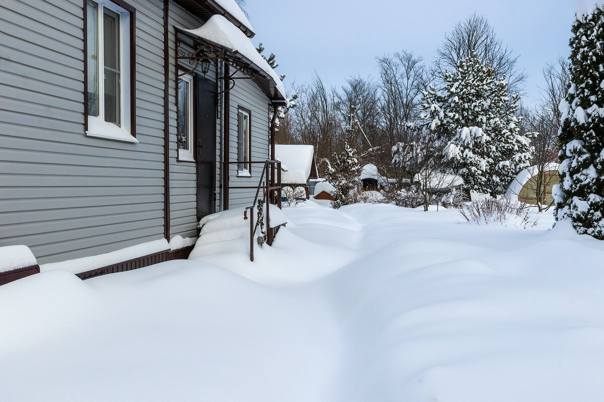 +Приехал на дачу, открыл дверь, а там ... здасьте мы вас не ждали ! - Анатолий. Chesnavik.