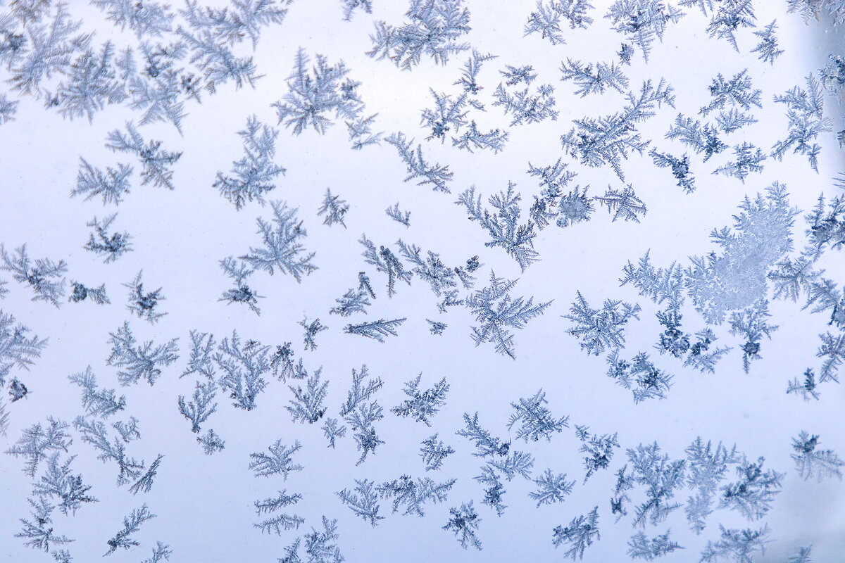 Январское окно. - Анатолий. Chesnavik.