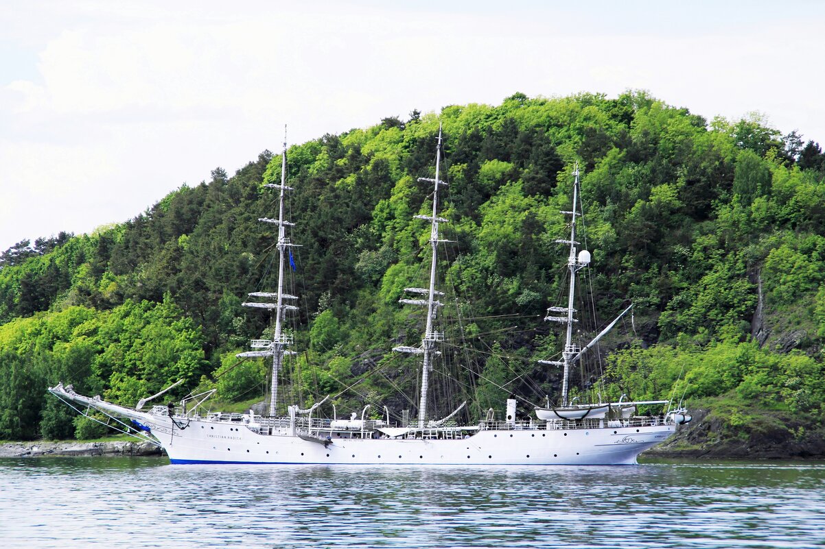 Белоснежный - В.И 