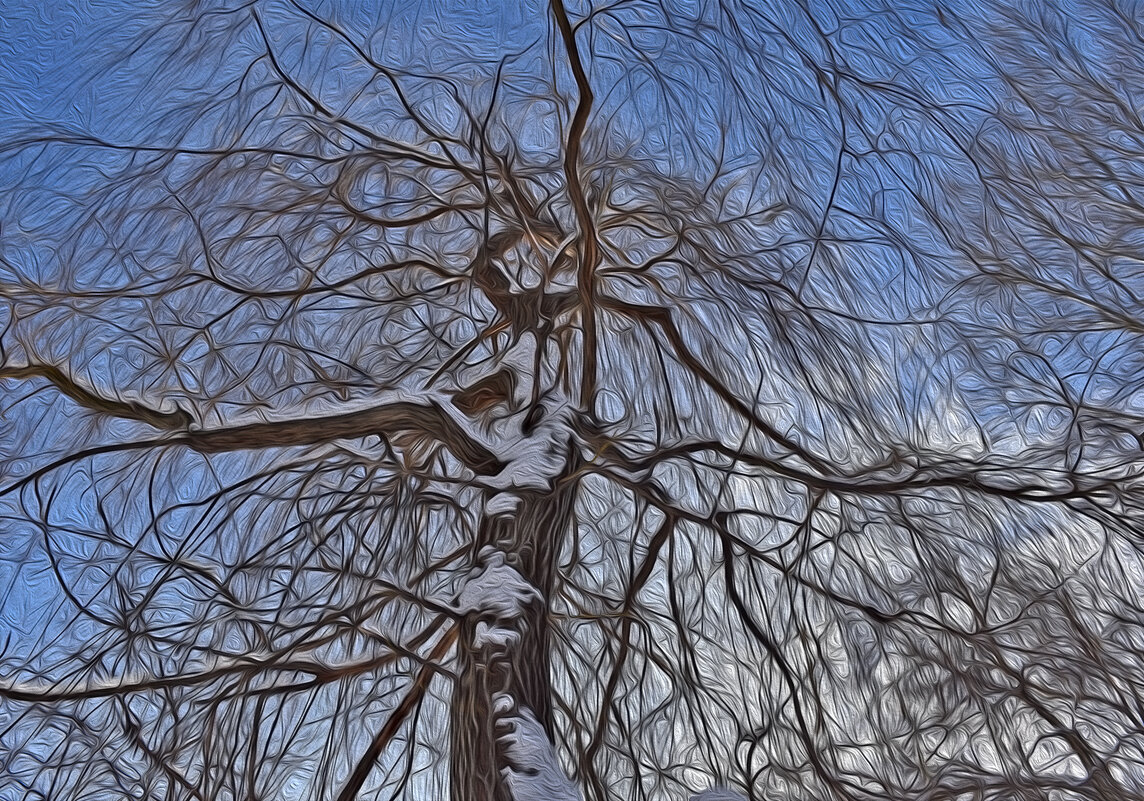 Дерева вы мои, дерева... - Валентина Нефёдова Дерева вы мои, дерева... - Валентина Нефёдова